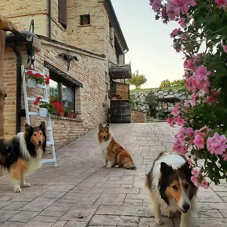 Il Casale Dell'acquabona Farm stay *